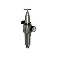 Фильтр с регулятором давления SMC AW40-F02-2-B-X425