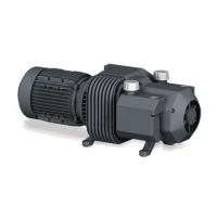 Пластинчато-роторный вакуумный насос Busch Seco DC 0100 C